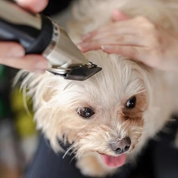 Quiet Pet Grooming Clippers - Low Noise Dog Coat Trimming Kit