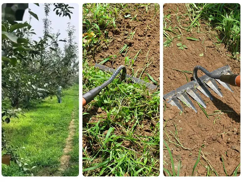 Garden Hoe in Carbon Steel – Sharp Tines for Soil Aeration and Weeding
