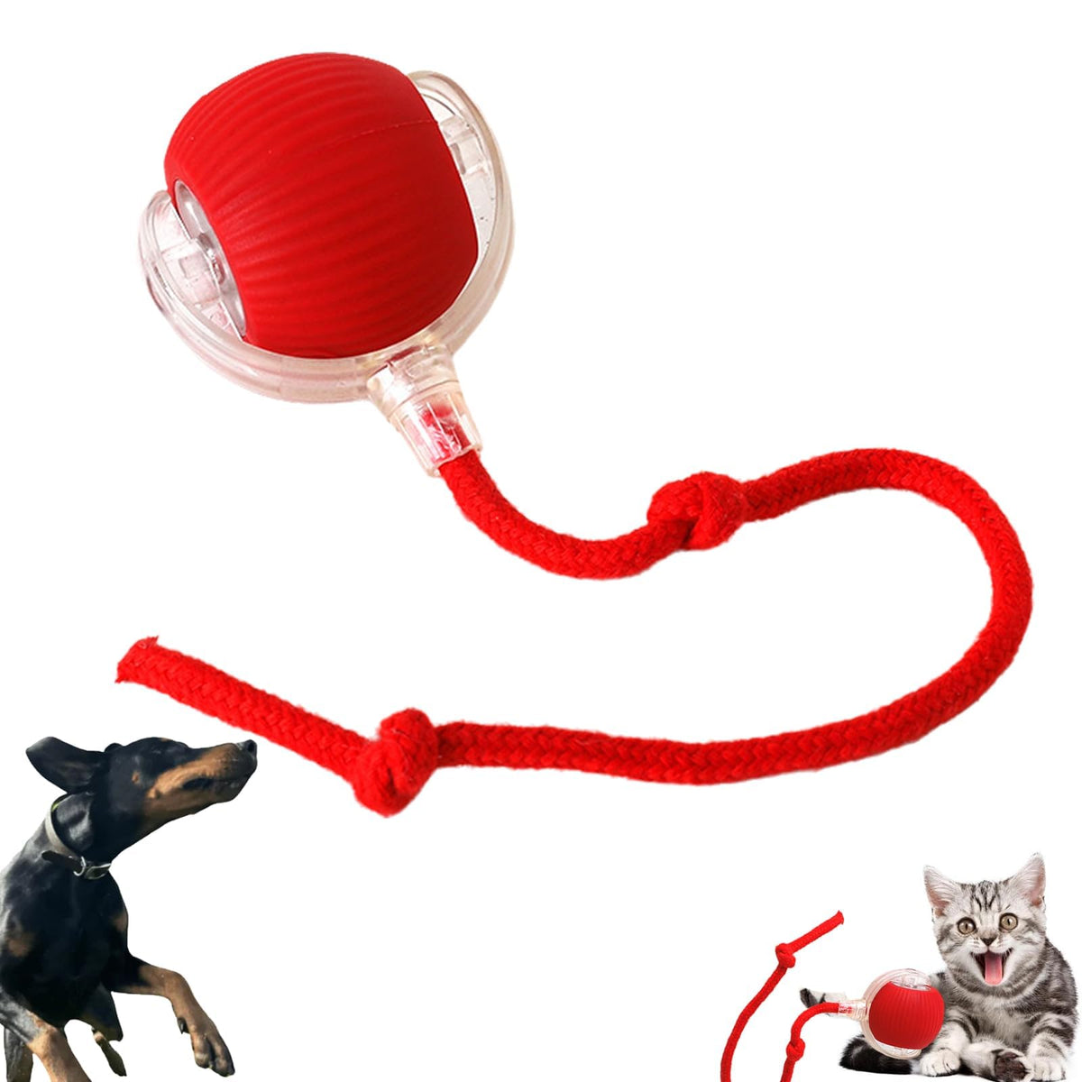 Touch-Activated Rolling Toy for Dogs and Cats - Chew-Proof Design