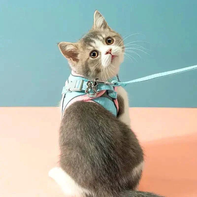 Reflective Safety Stripes Cat Harness and Leash – Comfortable Design