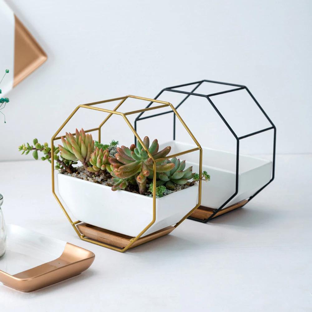 Stylish Indoor Wall Planter with Modern Frame and Tray
