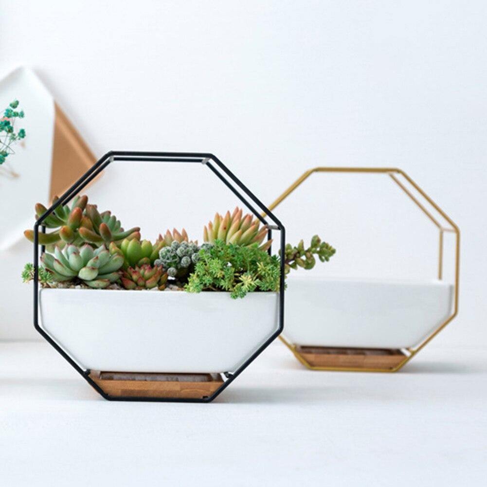 Stylish Indoor Wall Planter with Modern Frame and Tray