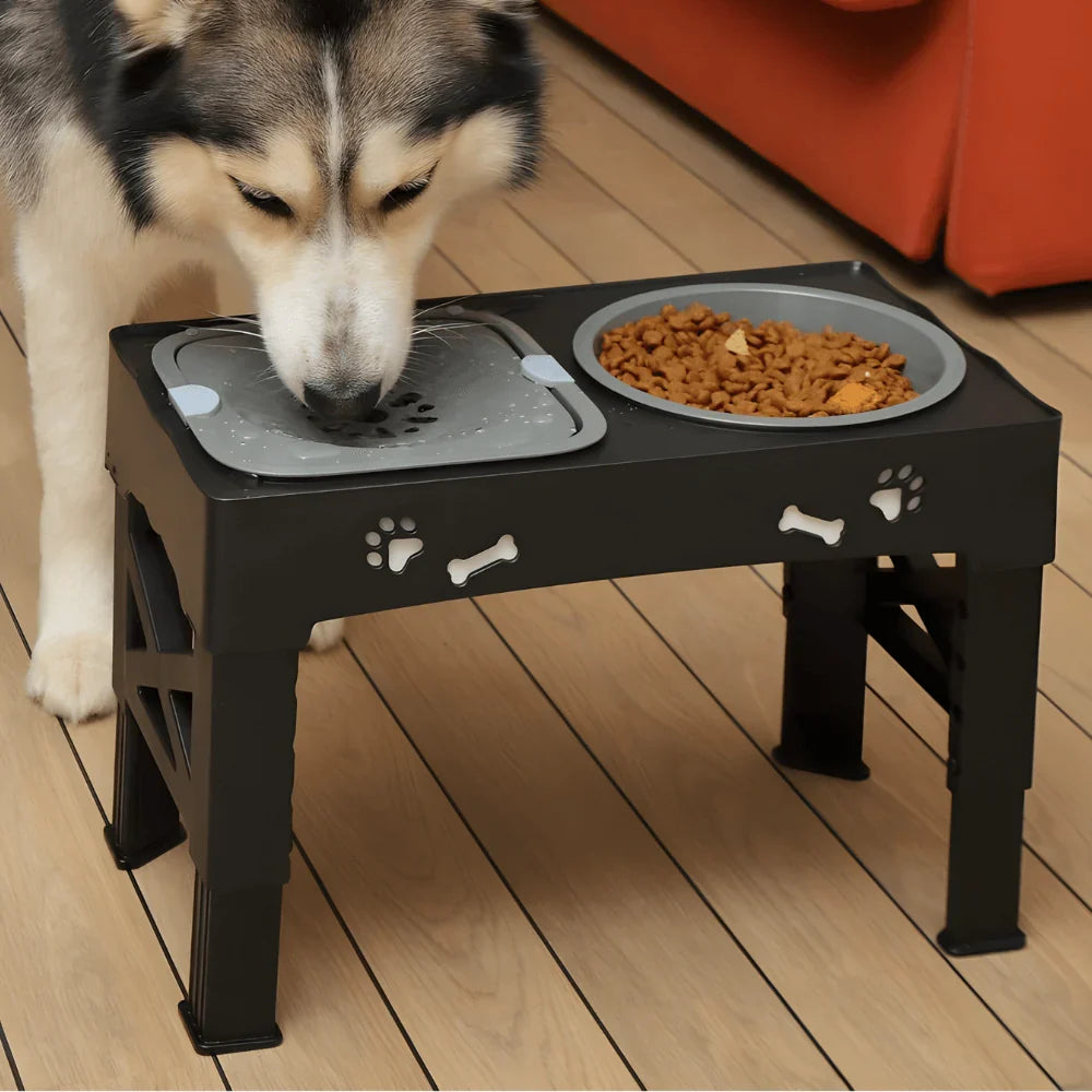 Dog Bowl Stand with Adjustable Height, Slow Feeder and Water Dish Set