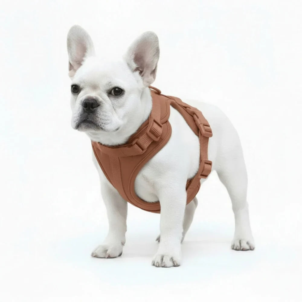 Lightweight Nylon Dog Harness with Mesh Padding and Adjustable Straps