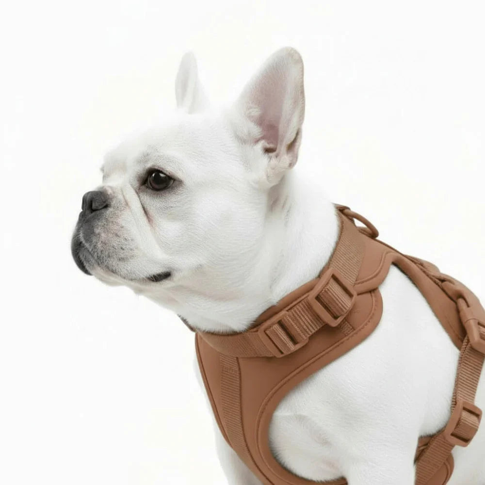 Lightweight Nylon Dog Harness with Mesh Padding and Adjustable Straps