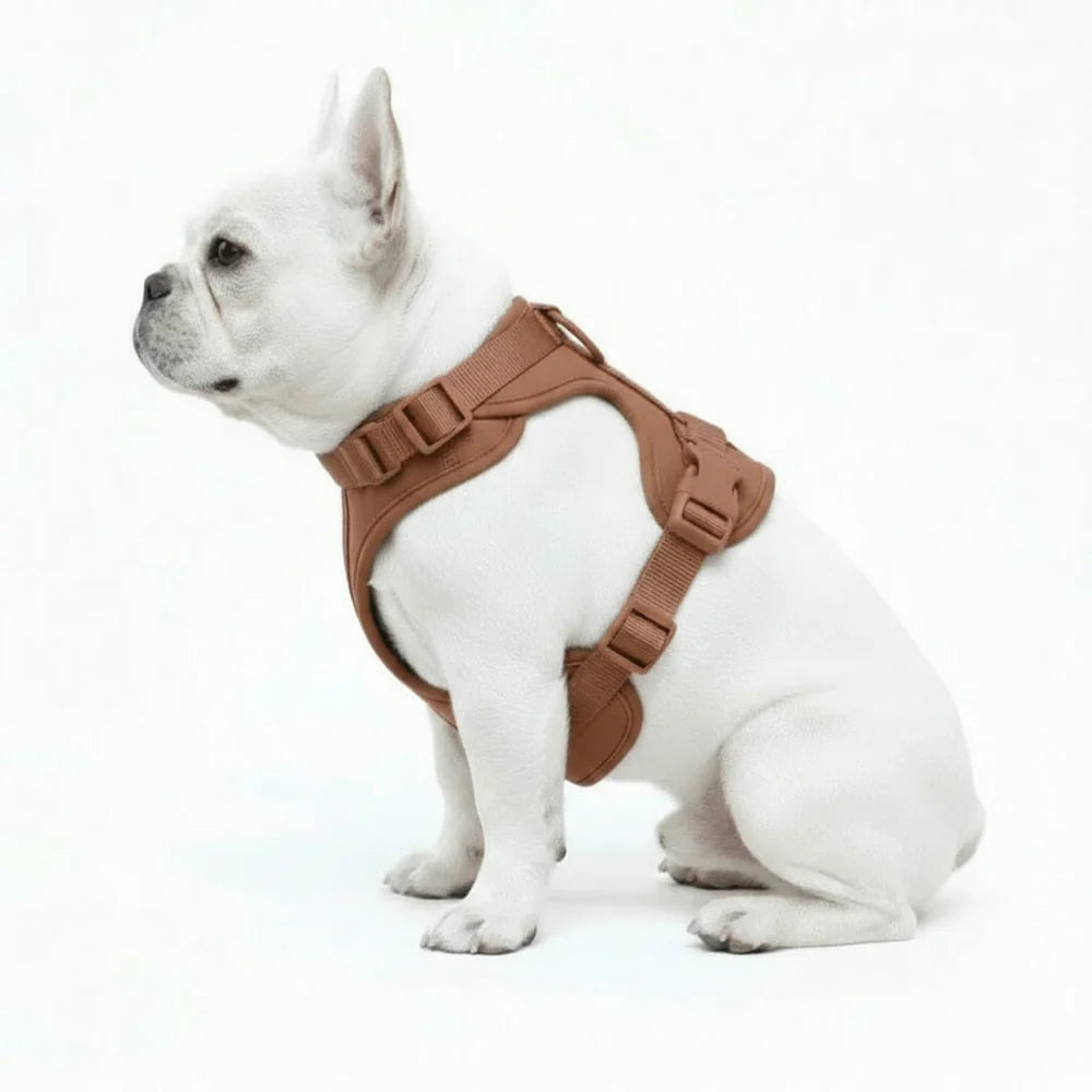 Lightweight Nylon Dog Harness with Mesh Padding and Adjustable Straps