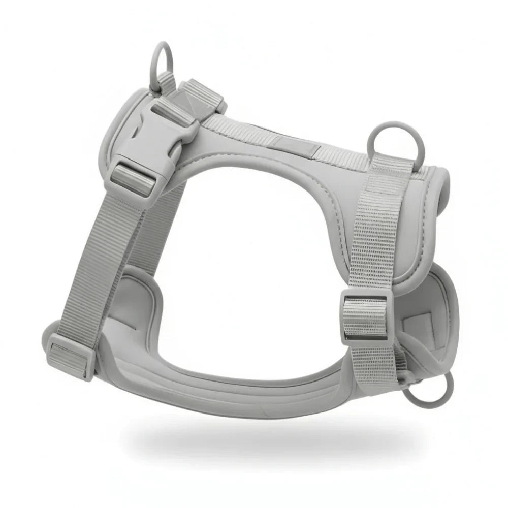 Lightweight Nylon Dog Harness with Mesh Padding and Adjustable Straps