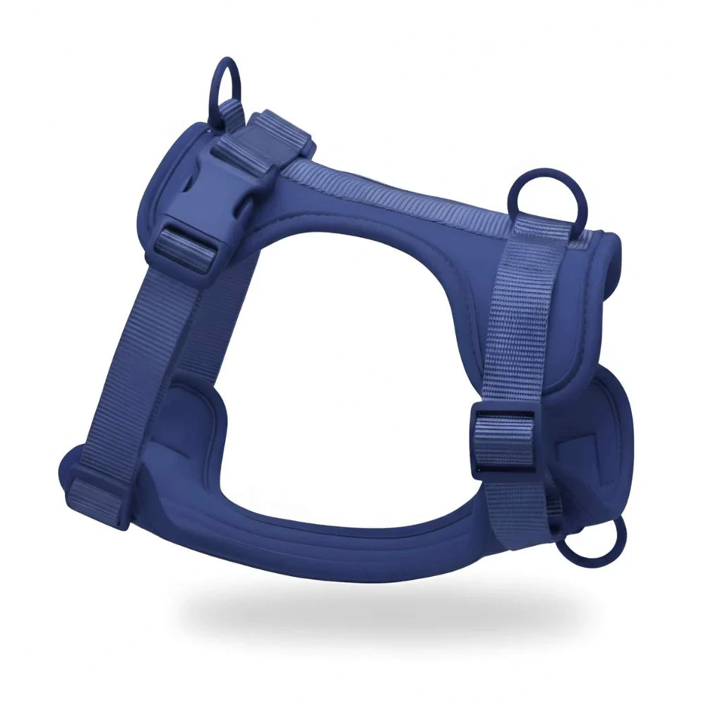 Lightweight Nylon Dog Harness with Mesh Padding and Adjustable Straps