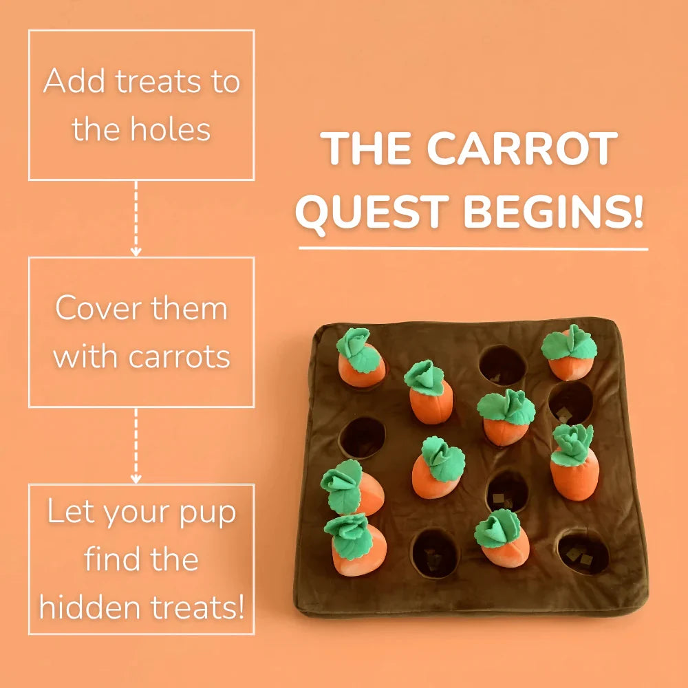 Washable Dog Puzzle Mat with Non-Slip Base for Treats