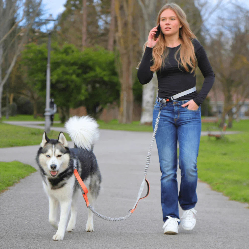 Adjustable Reflective Dog Walking Leash with Waist Strap