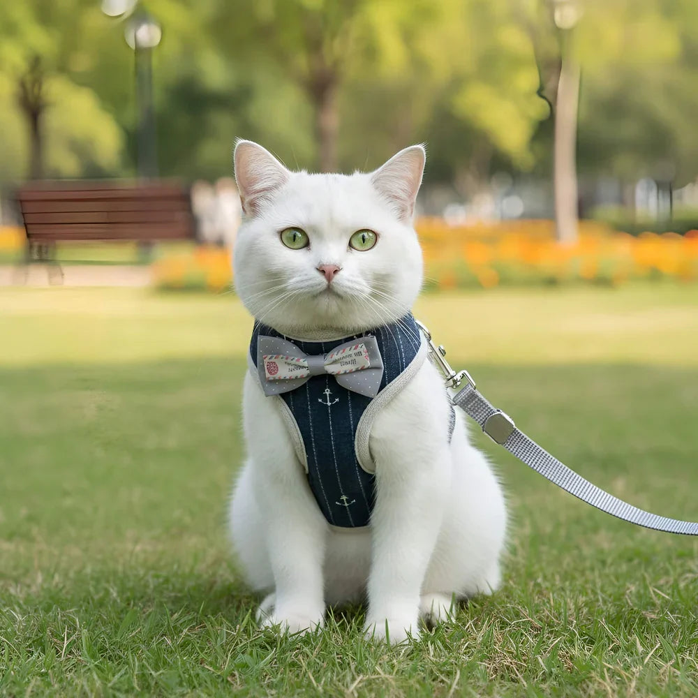 Adjustable Soft Mesh Cat Leash and Harness Set