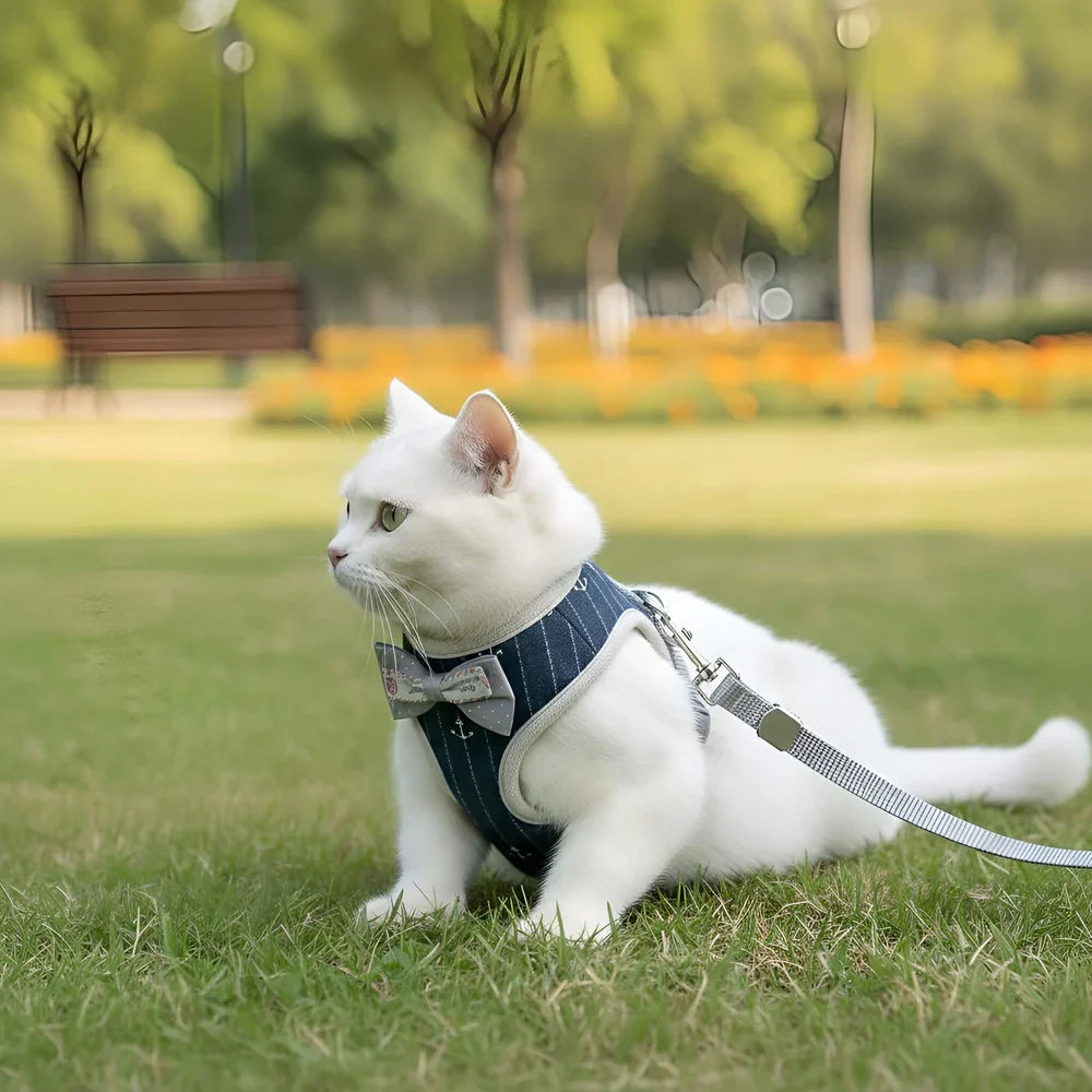 Adjustable Soft Mesh Cat Leash and Harness Set