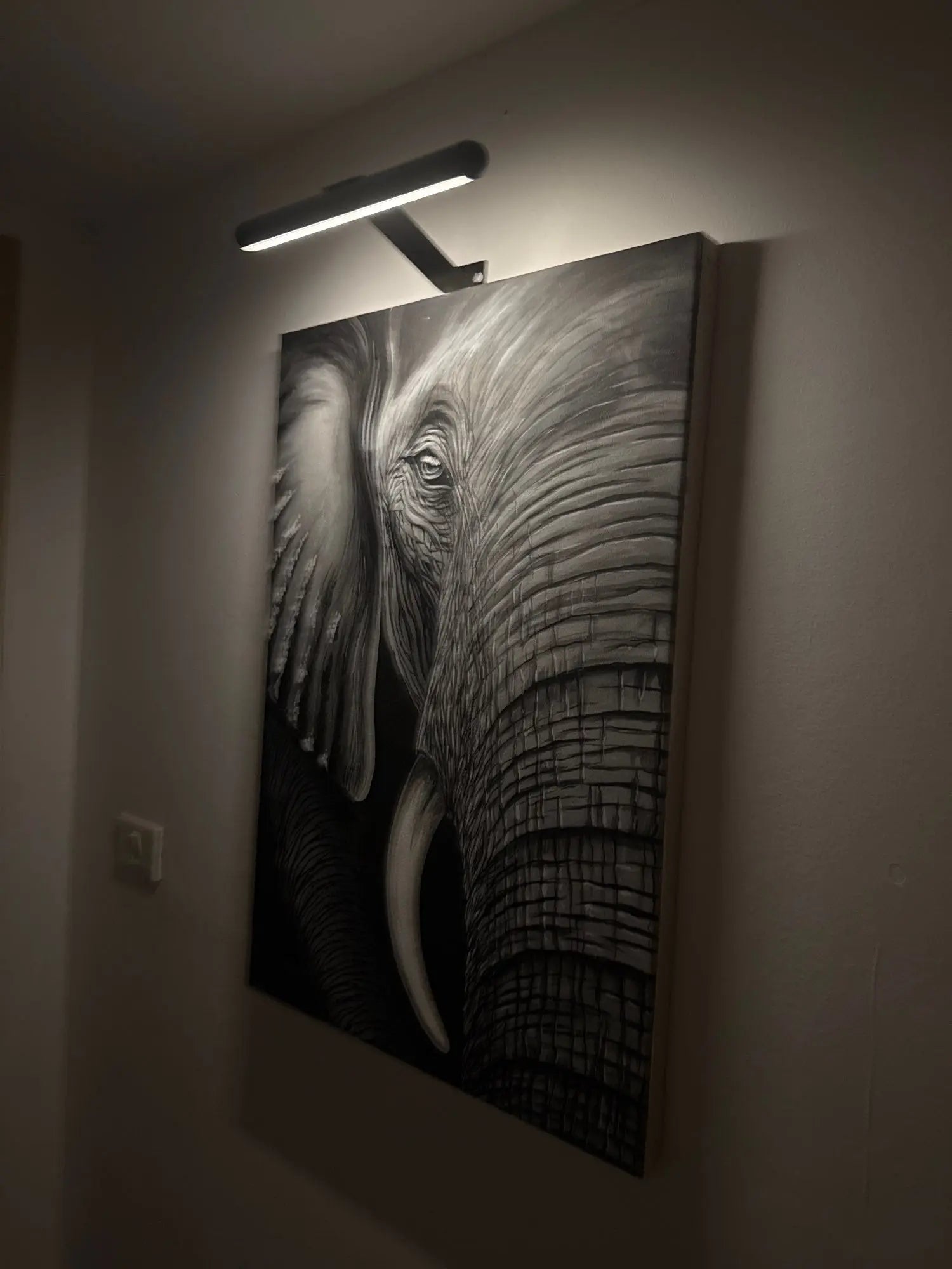 Dimmable Wall Lamp for Art – Wireless LED Picture Lighting