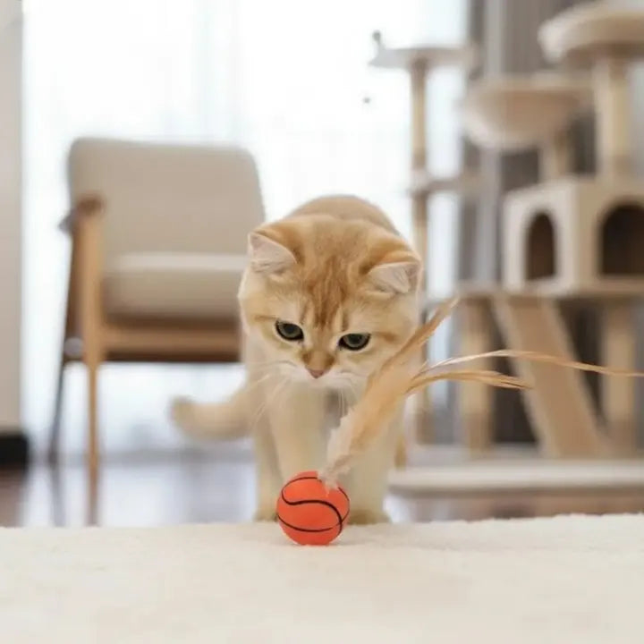 Feather Ball Cat Plaything