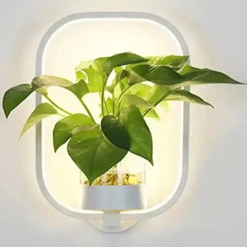 Round and Oval LED Wall Light for Plants with Glass Vase