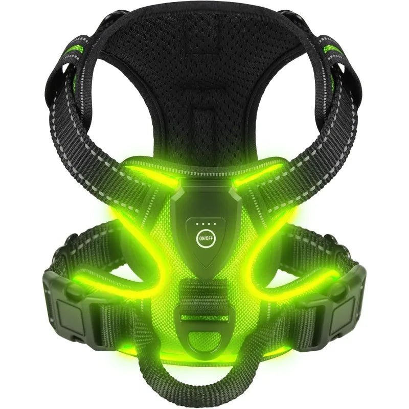 Illuminated Dog Harness for Safe Nighttime Adventures