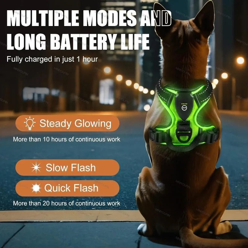 Illuminated Dog Harness for Safe Nighttime Adventures