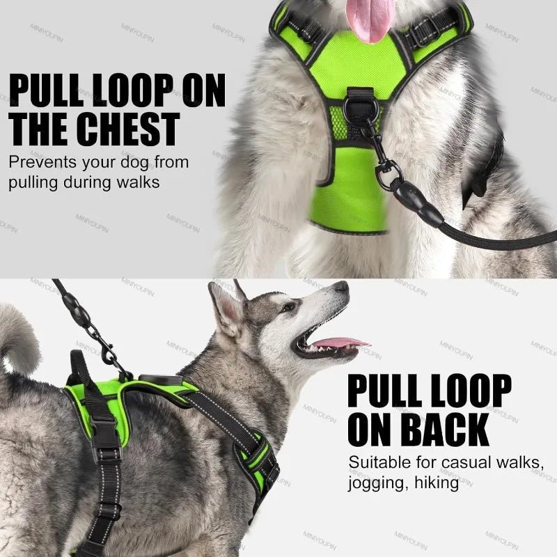 Illuminated Dog Harness for Safe Nighttime Adventures