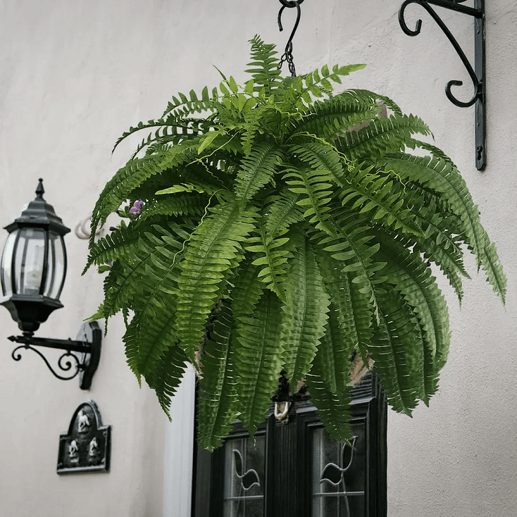 Realistic Faux Ferns for Effortless Indoor and Outdoor Style