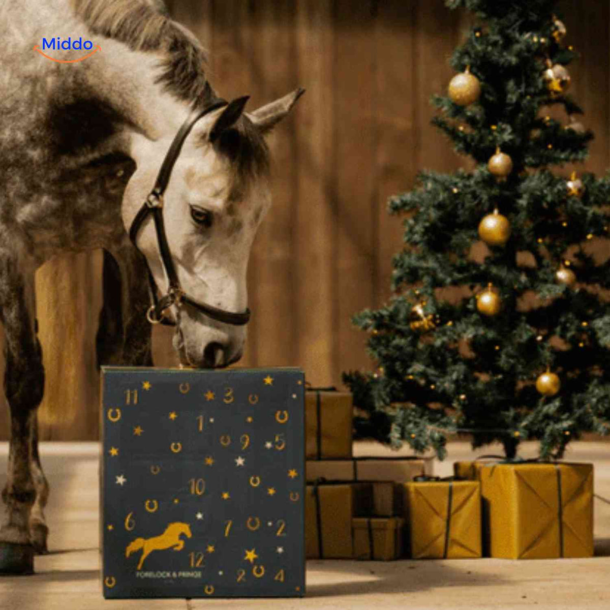 Advent Calendar Horse-Themed 24 Daily Surprises