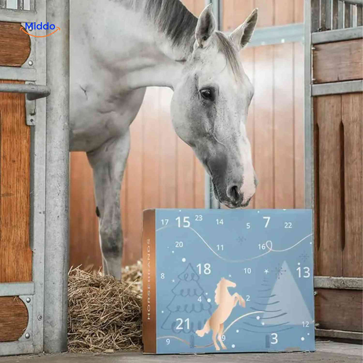 Advent Calendar Horse-Themed 24 Daily Surprises