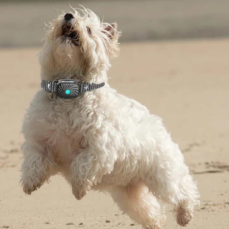 Anti-Bark Collar Sound & Vibration Microphone Detection