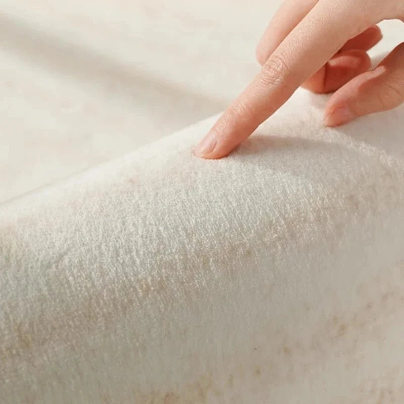 Area Rug Soft Plush Texture Multiple Design Options
