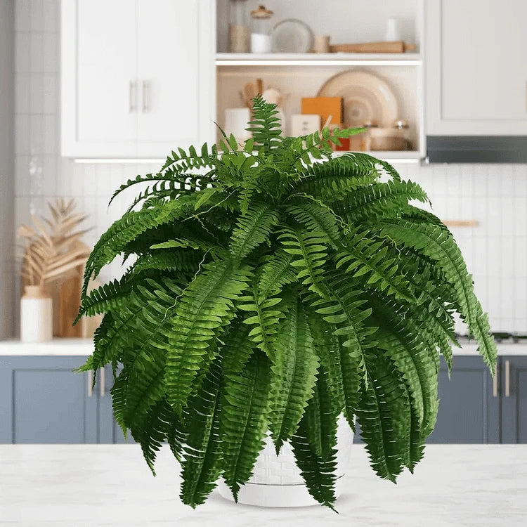 Artificial Boston Ferns Realistic UV-Resistant Set Of 18