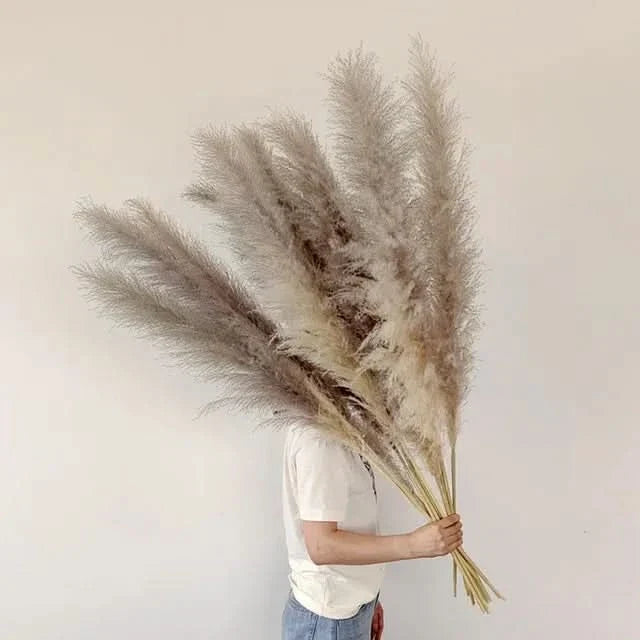Artificial Pampas Grass Stems Feathery 25.6-Inch Decor