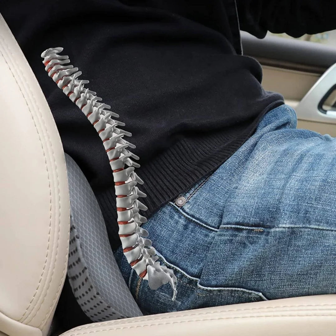 Car Booster Seat Cushion 3.5 Inch Lift Ergonomic Support