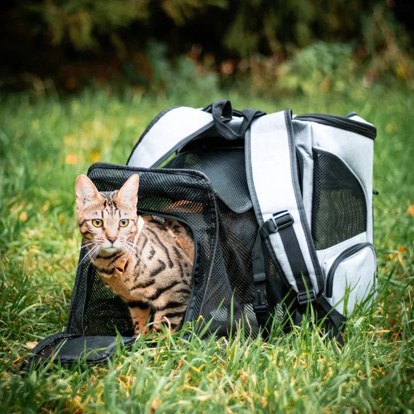Cat Backpack Carrier Clear Viewing Dome Breathable Padded Straps