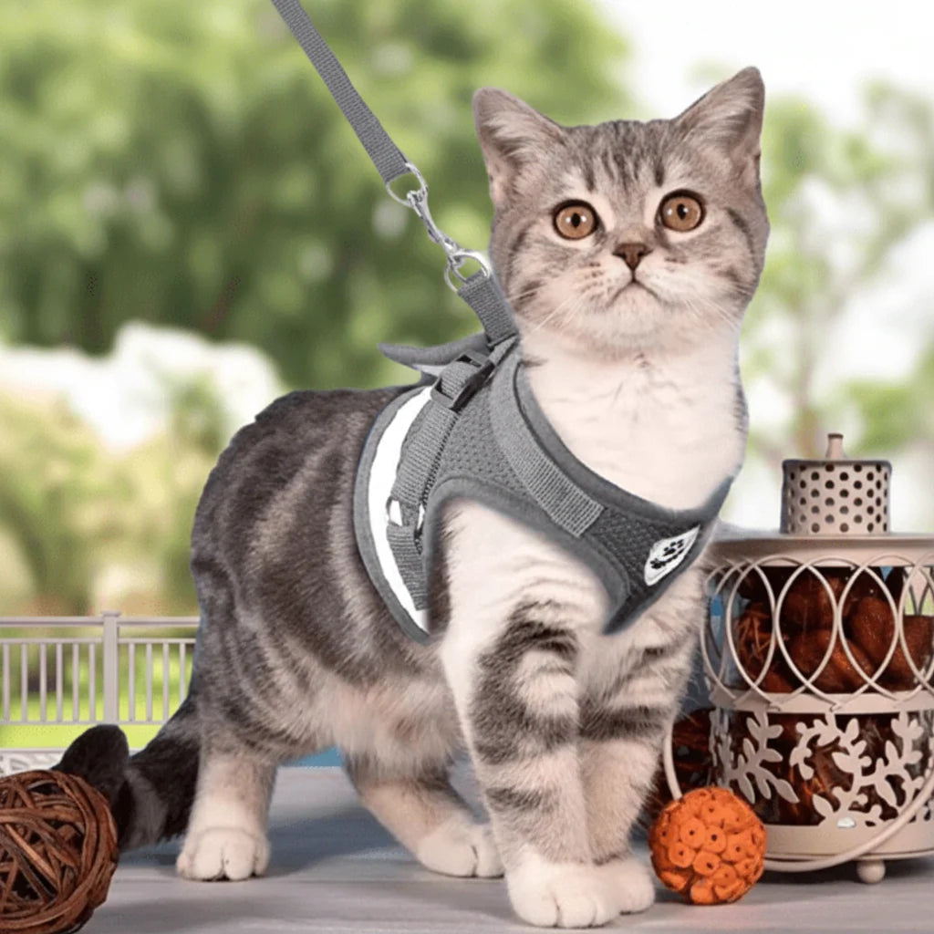 Cat Harness Adjustable Reflective With Leash Included