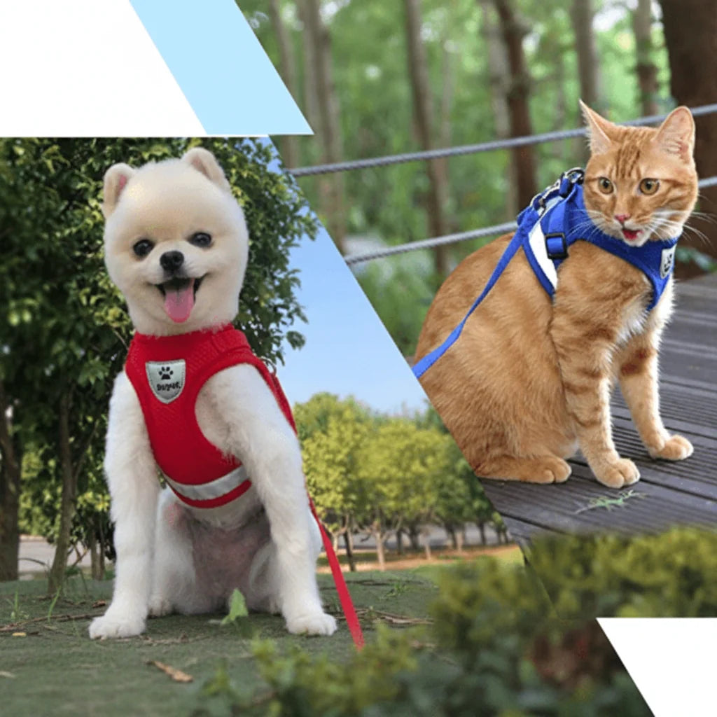 Cat Harness Adjustable Reflective With Leash Included