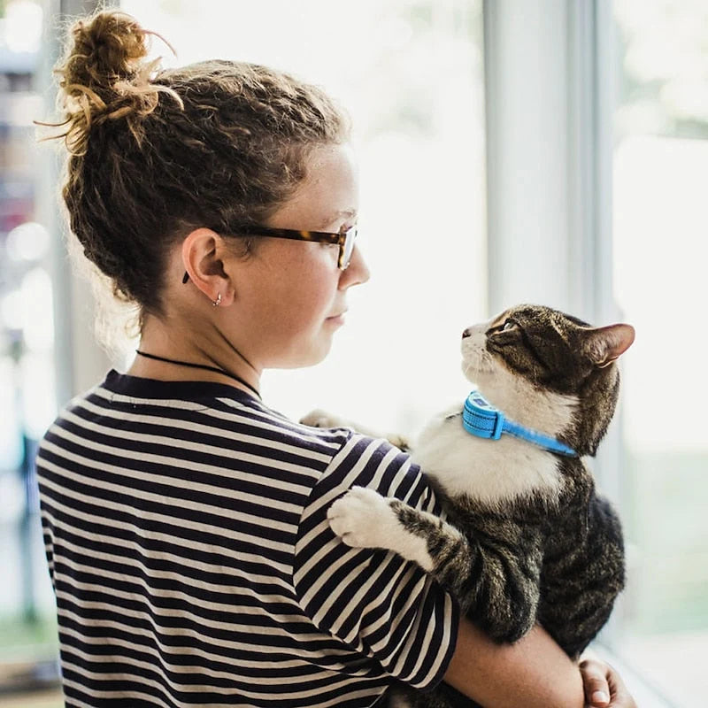 Cat Training Collar Sound Vibration & Shock Modes