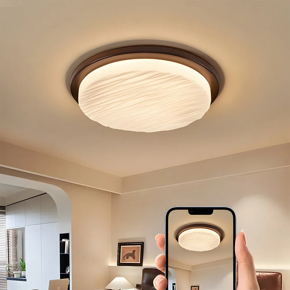 Ceiling Light Art Deco Flush Mount Integrated LED