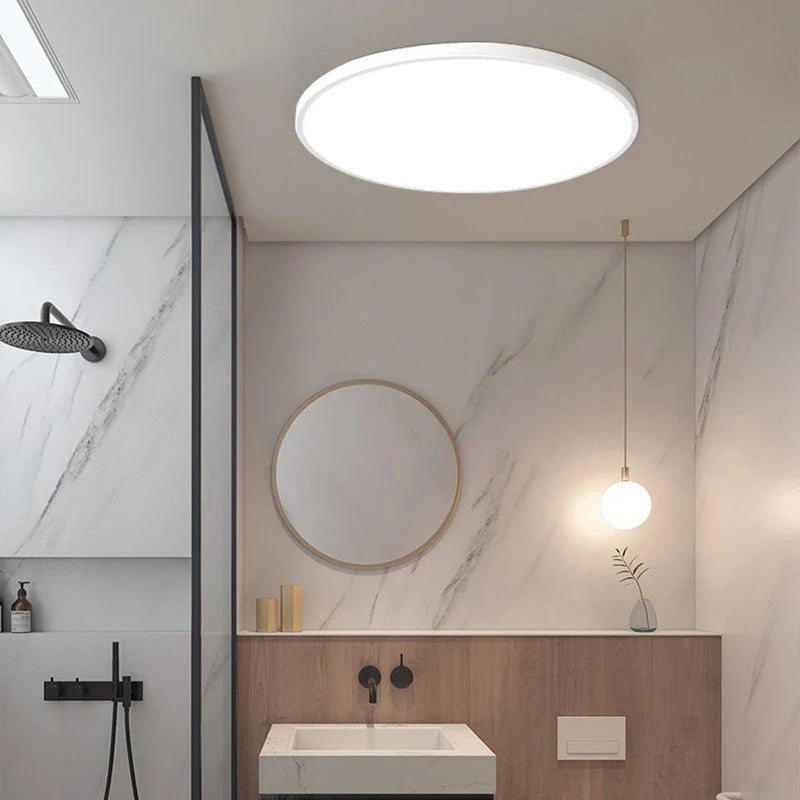 Ceiling Light Flush Mount IP54 Splash-Resistant Adjustable Color LED