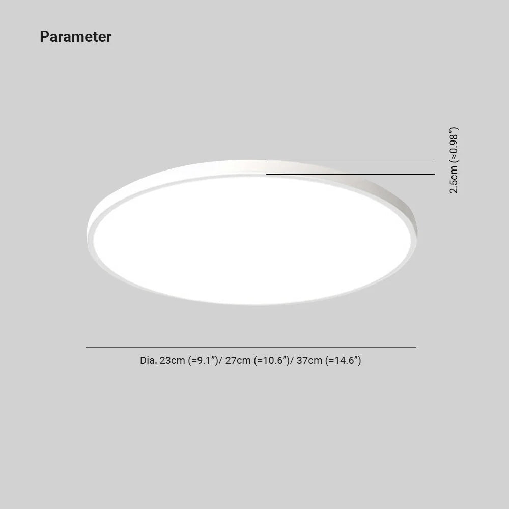 Ceiling Light Flush Mount IP54 Splash-Resistant Adjustable Color LED