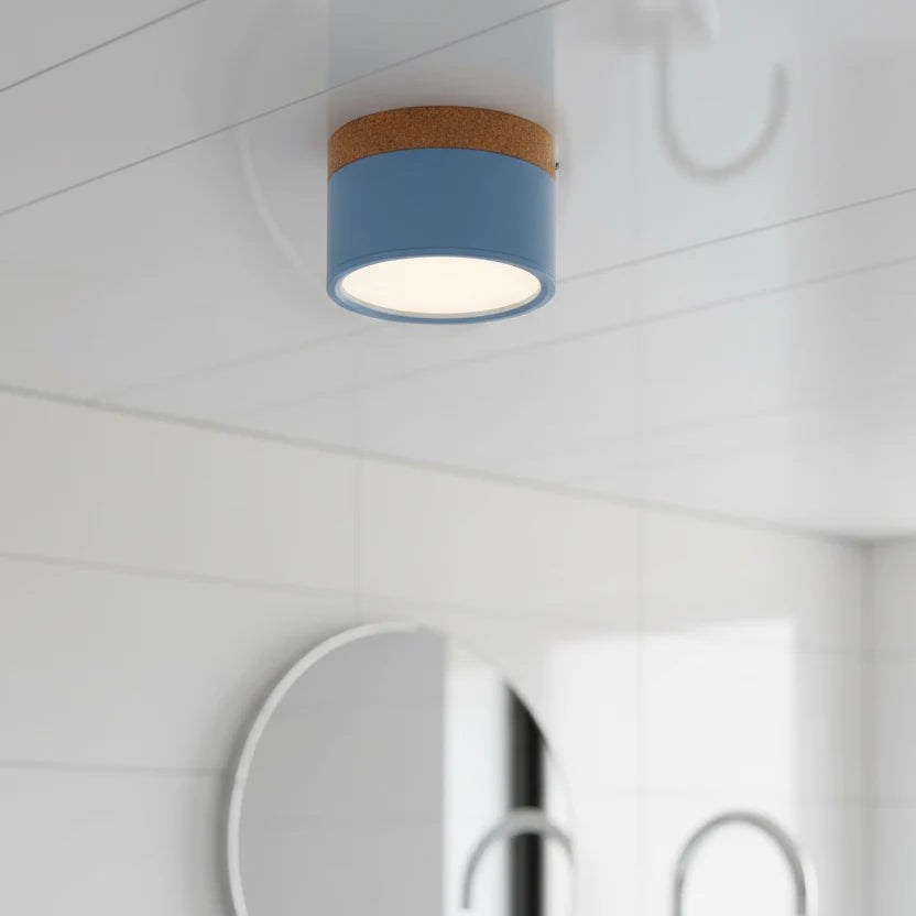 Ceiling Light LED Dimmable Three Color Temperatures