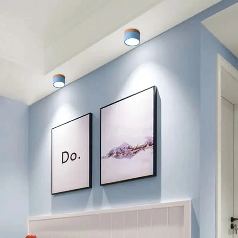 Ceiling Light LED Dimmable Three Color Temperatures