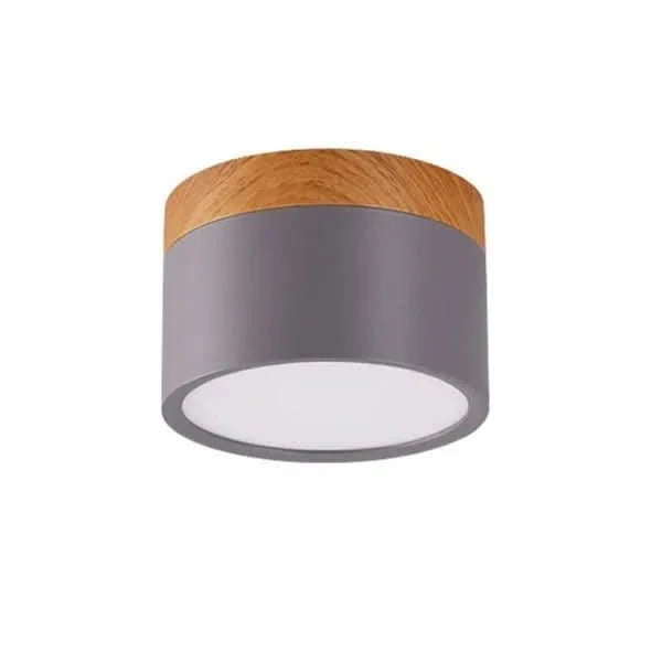 Ceiling Light LED Dimmable Three Color Temperatures