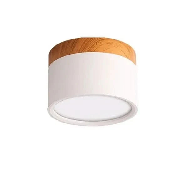 Ceiling Light LED Dimmable Three Color Temperatures