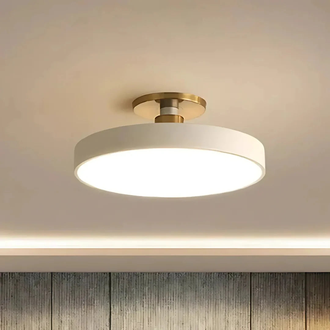 Ceiling Light Slim Flush-Mount & Integrated LED