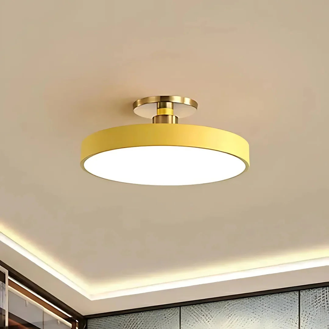 Ceiling Light Slim Flush-Mount & Integrated LED