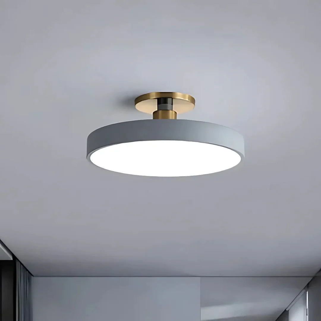Ceiling Light Slim Flush-Mount & Integrated LED