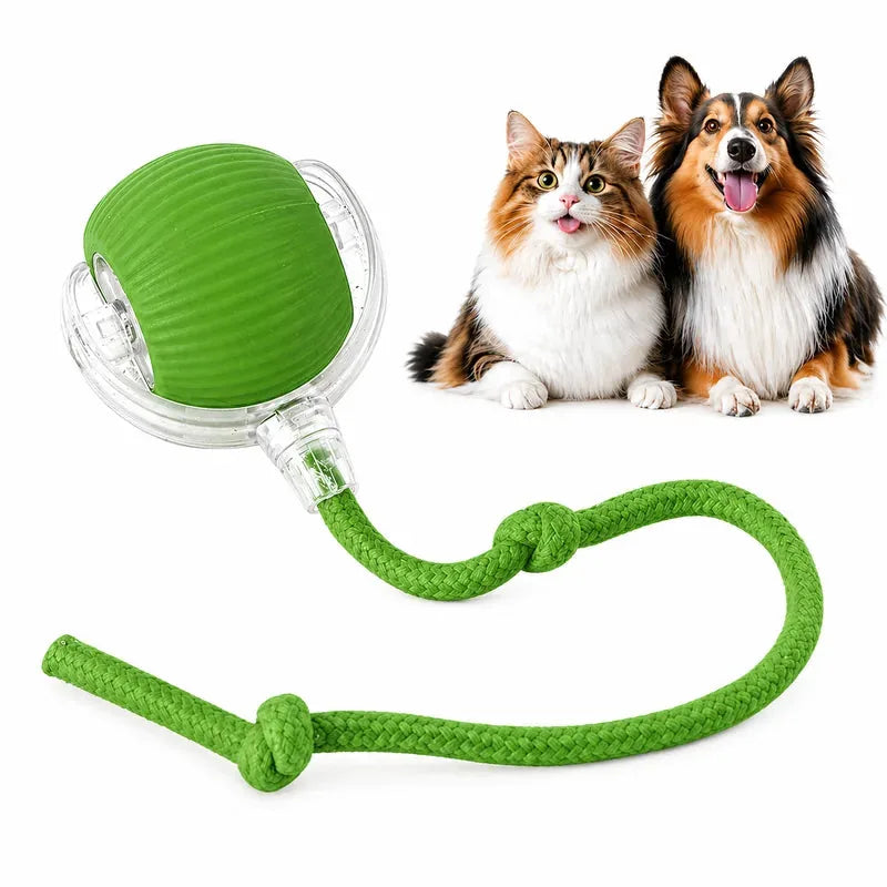 Chase Ball Motion-Activated Light-Up USB Rechargeable