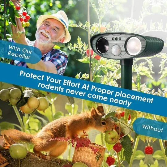 Chipmunk Repeller Solar-Powered Motion-Activated 30 Foot Coverage