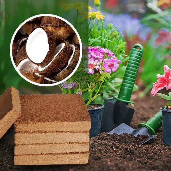 Coco Coir Block Compressed & Water-Expandable 100% Coconut Coir