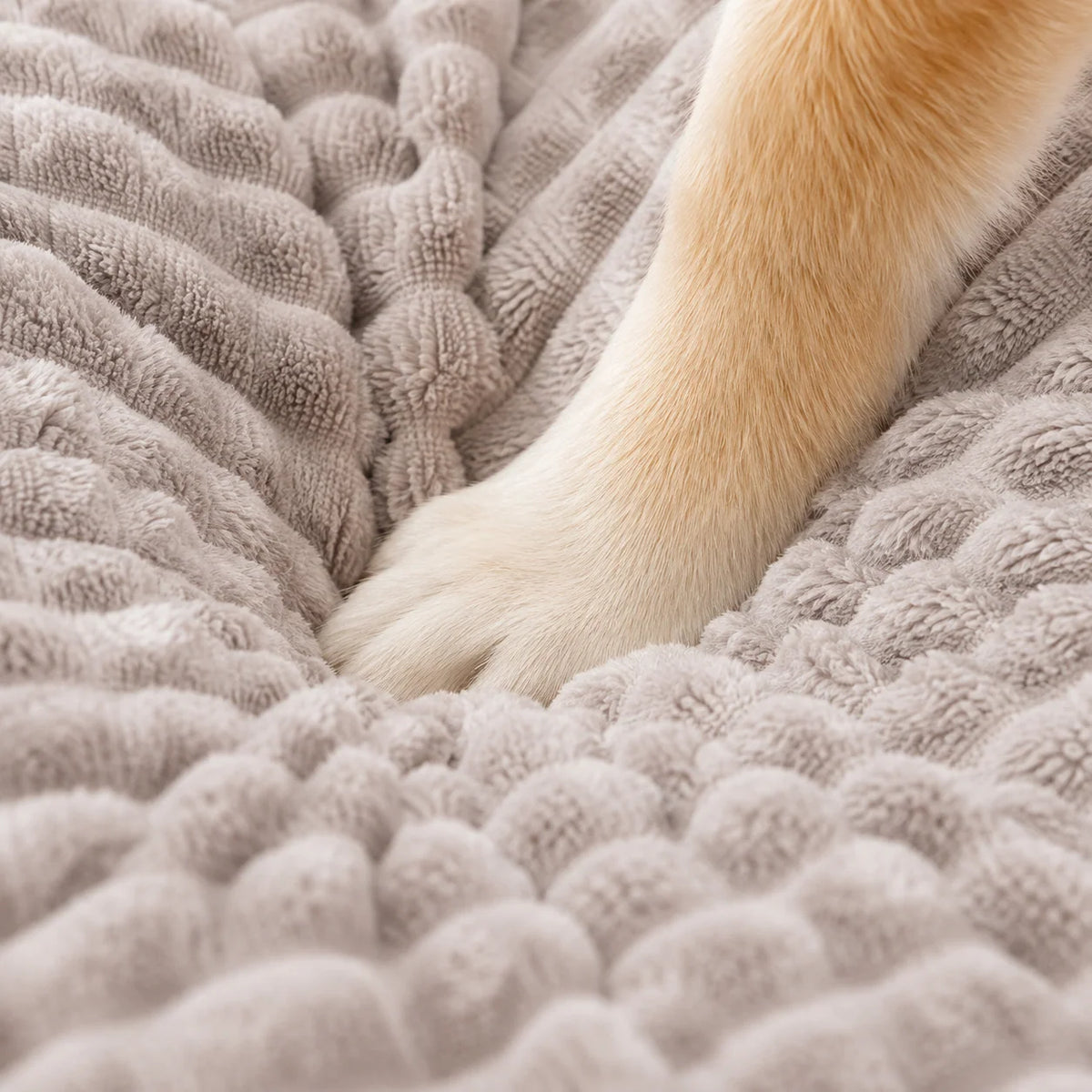 Dog Bed Orthopedic Memory Foam Removable Washable Cover