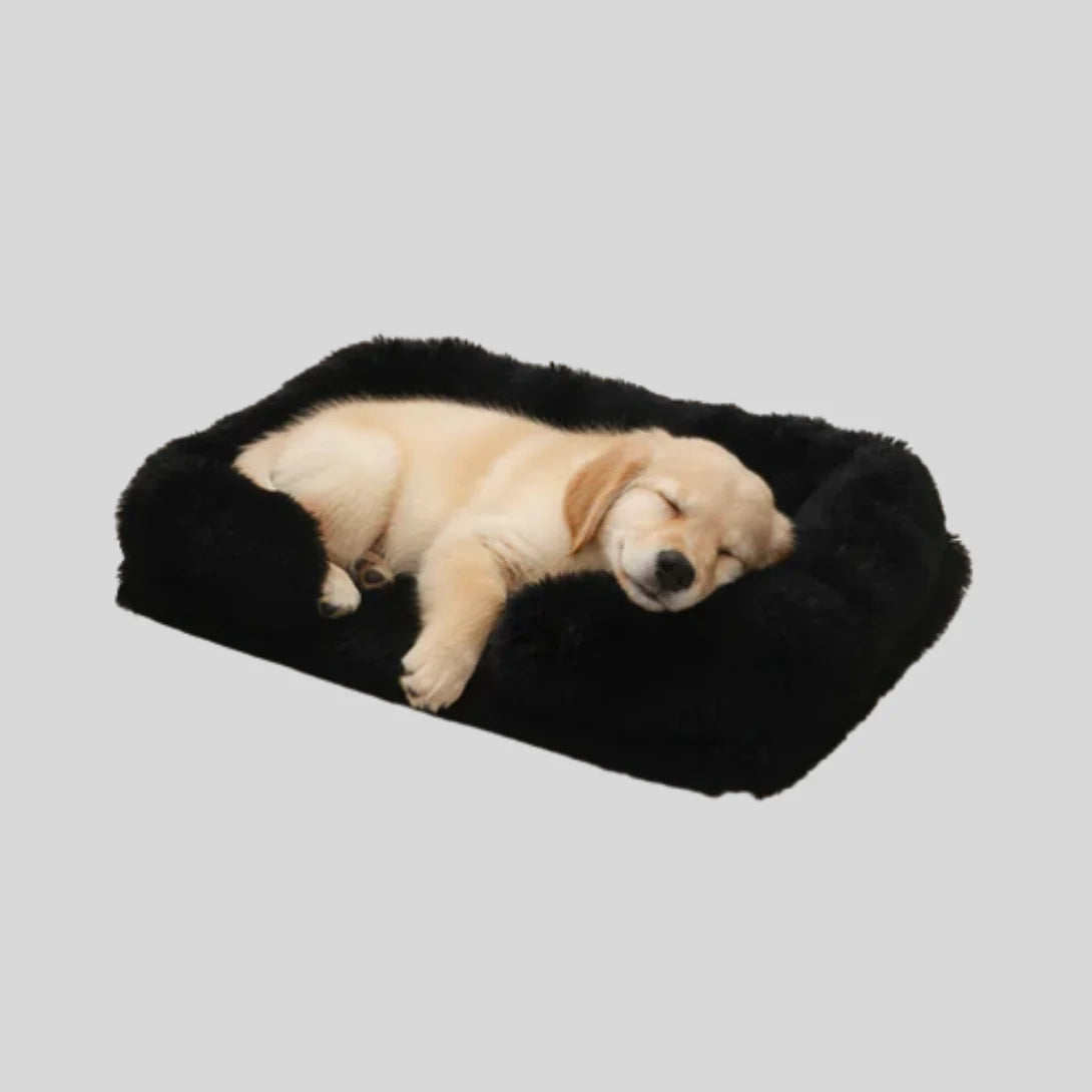Dog Bed Plush Padded Raised Sides Removable Washable Cover