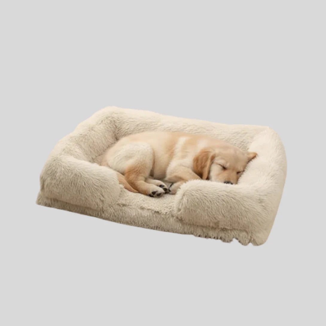 Dog Bed Plush Padded Raised Sides Removable Washable Cover